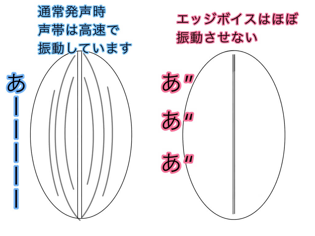 エッジボイス のやり方 効果 練習方法について