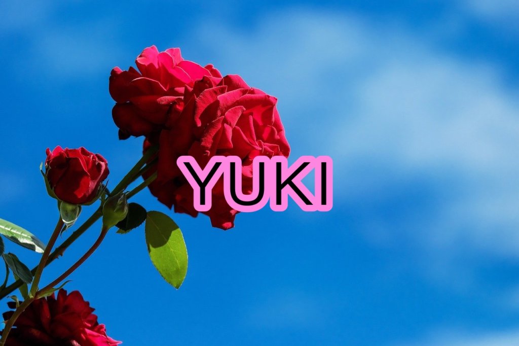 YUKIの声や歌い方についての分析