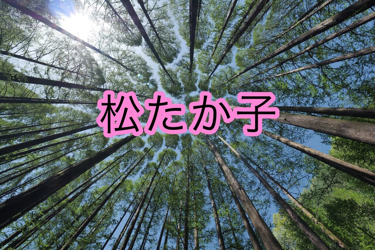 松たか子の歌声や歌唱力についての分析