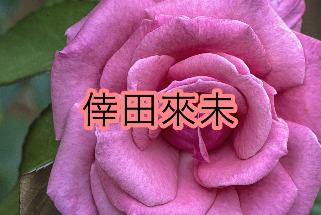 倖田來未の声や歌い方についての分析