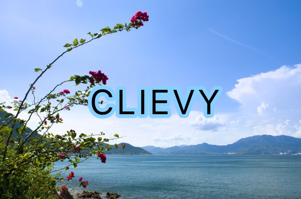 C&K CLIEVYの声や歌い方についての分析
