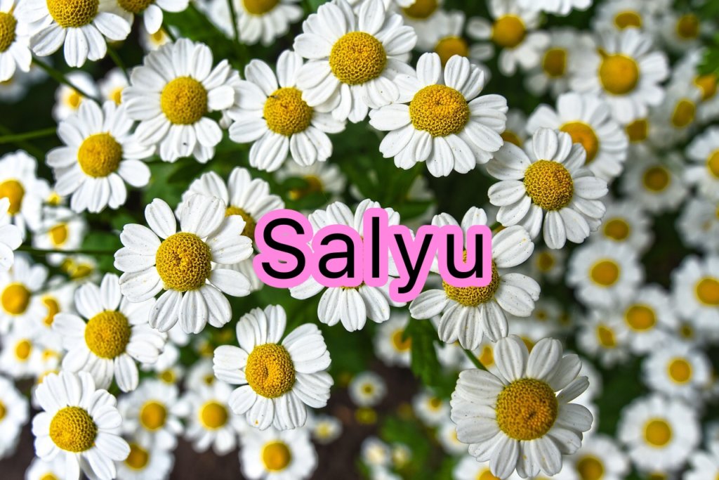Salyuの声や歌い方についての分析