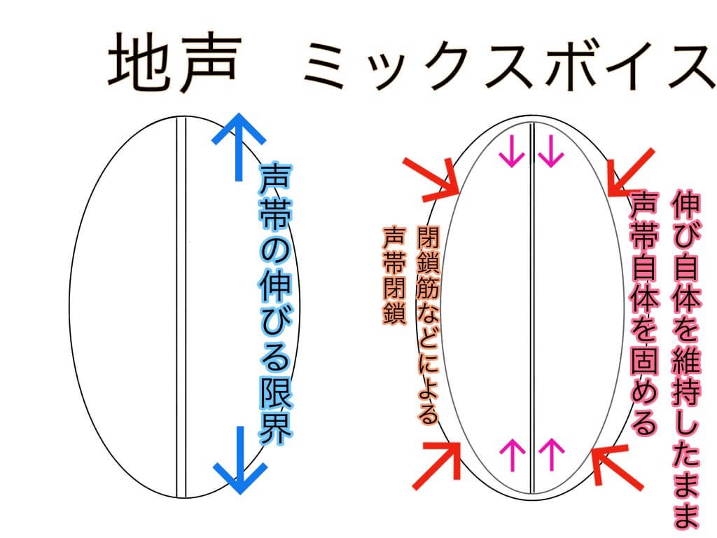 ファッショントレンド 最高女性 ミックス ボイス