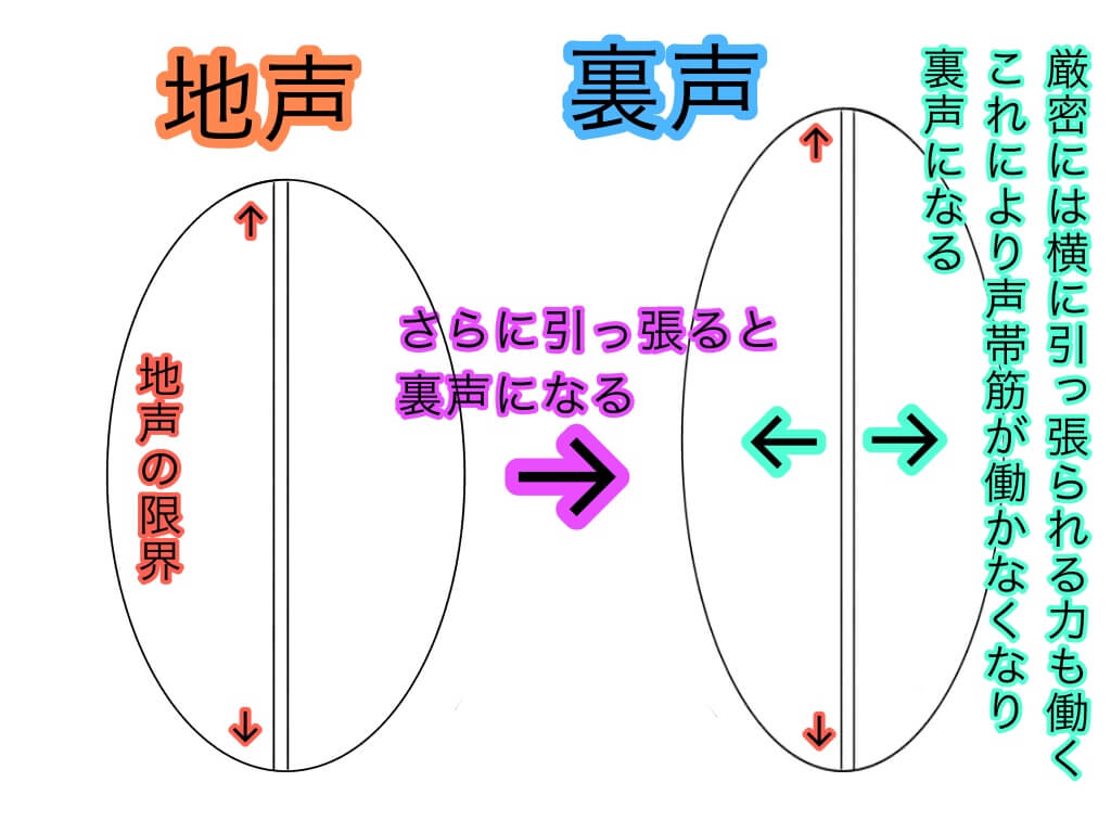 ミックスボイスとは？【声帯の状態や発声原理についての考察】