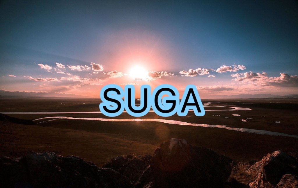 BTS SUGAの歌声や歌い方についての分析