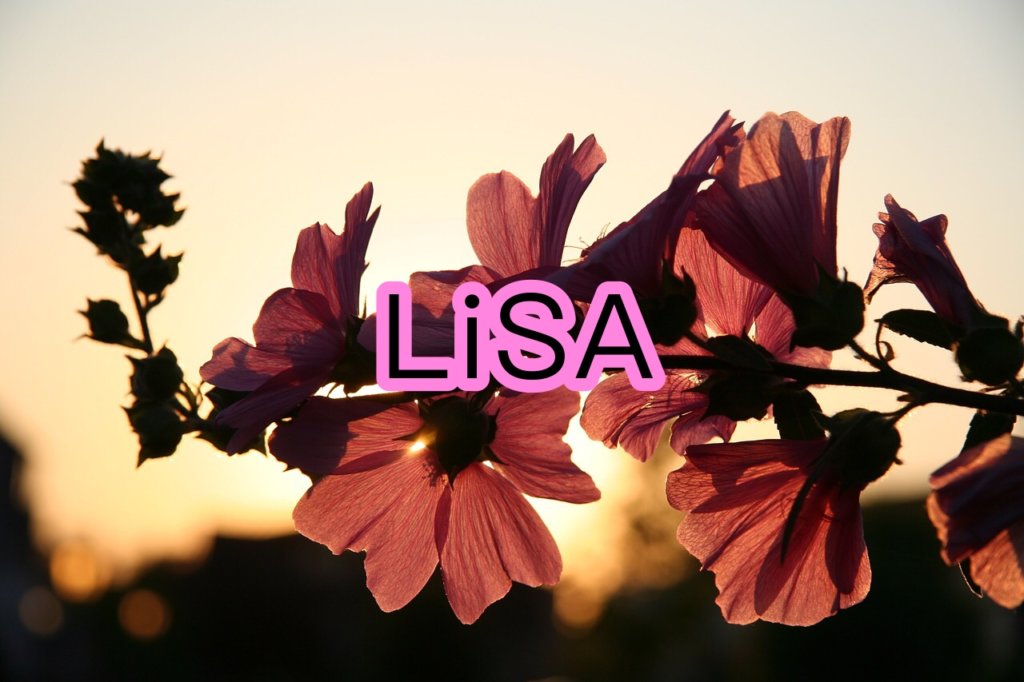 LiSAの声や歌い方についての分析