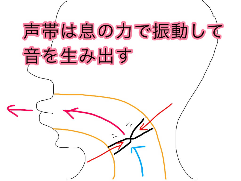 喉締め発声の原因と対策について