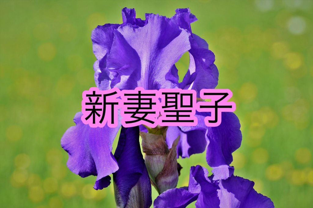新妻聖子の声や歌い方についての分析
