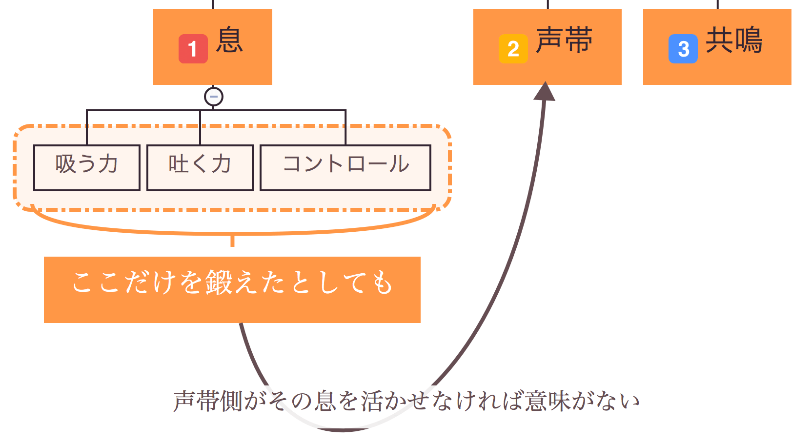 息に声を乗せる 息の重要性 と声帯との連動性について