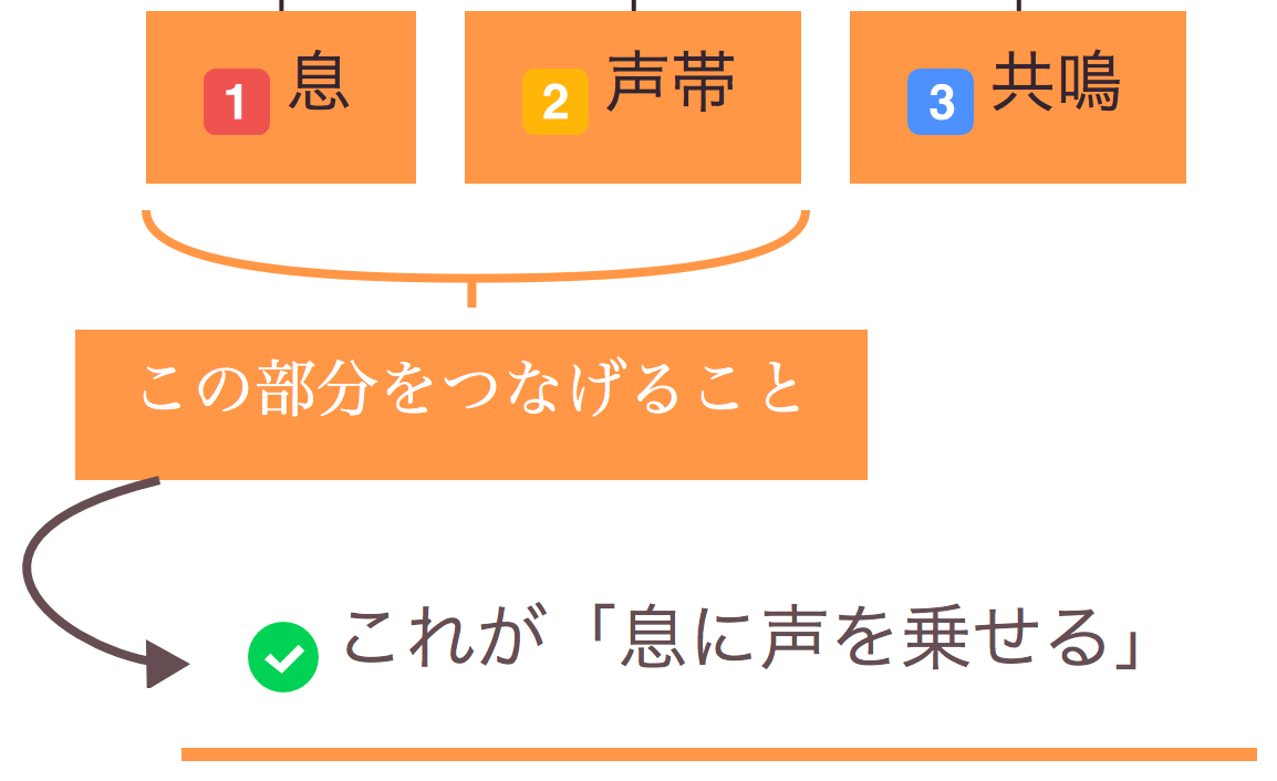 息に声を乗せる 息の重要性 と声帯との連動性について