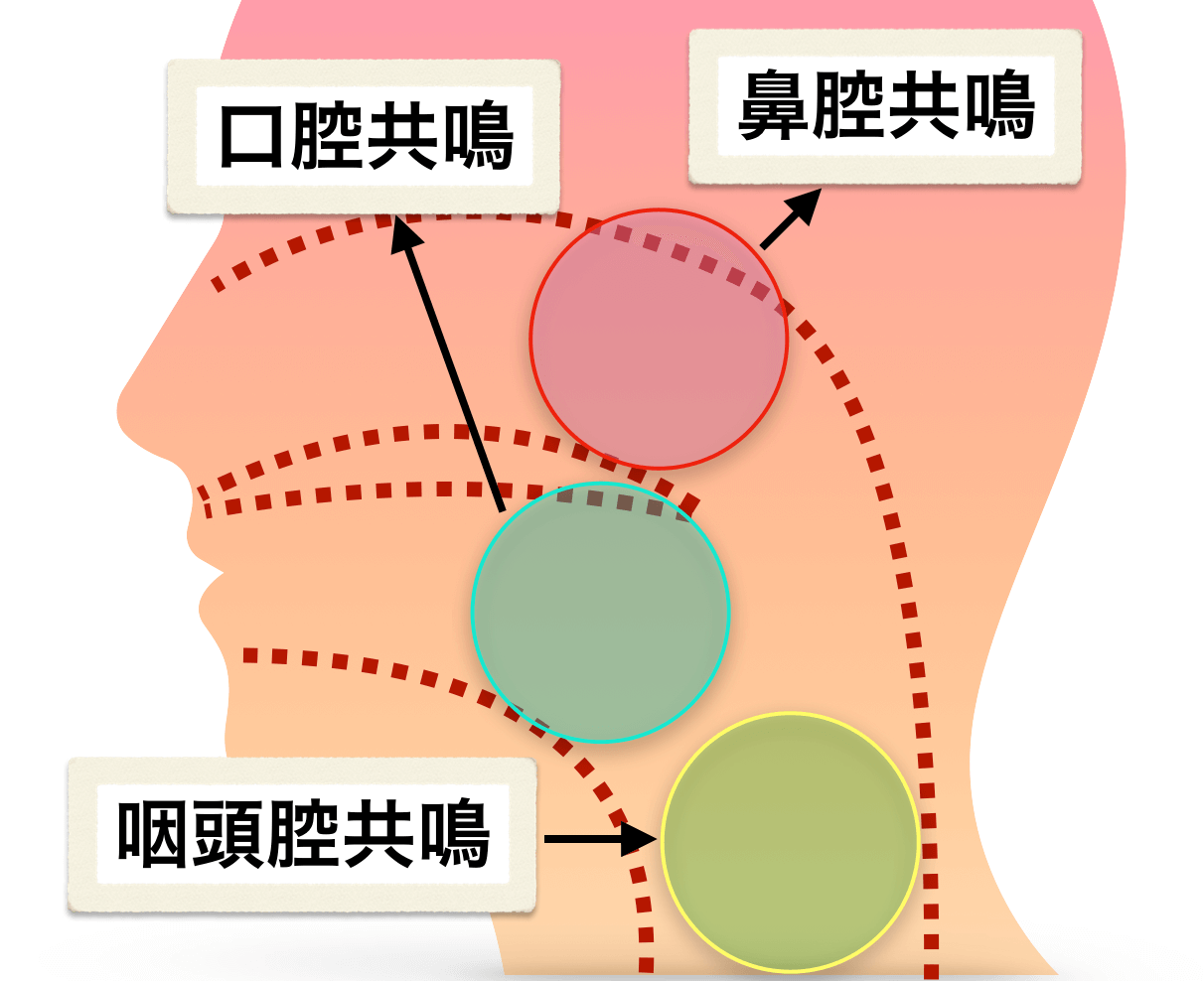 歌声がこもる原因と改善方法 ４つの理由 とそれに応じたトレーニング