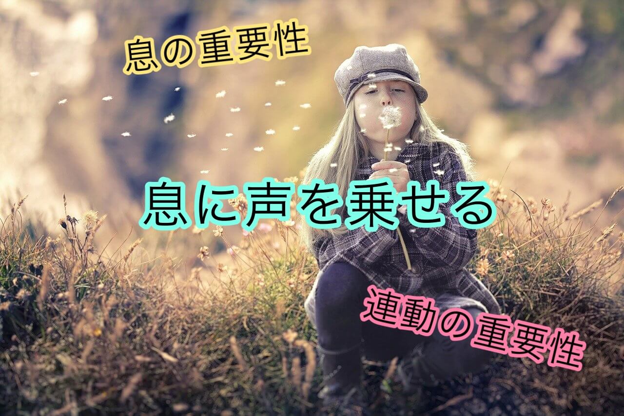 息に声を乗せる 息の重要性 と声帯との連動性について