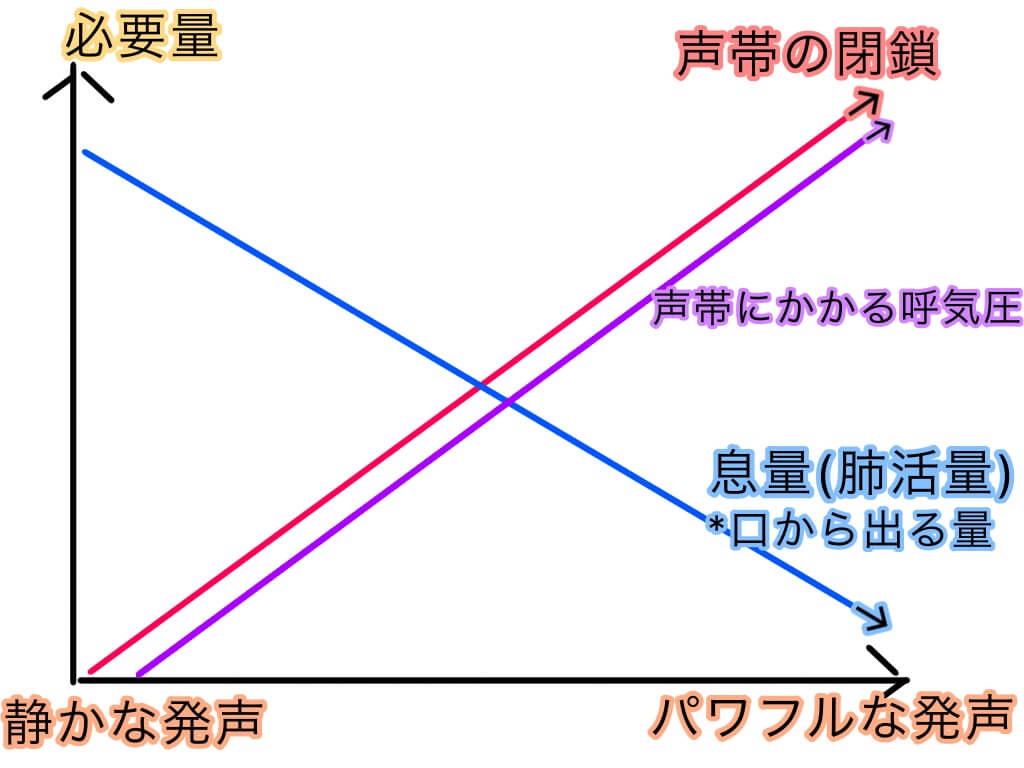 肺活量と発声の関係性について 肺活量は歌に必要なのか