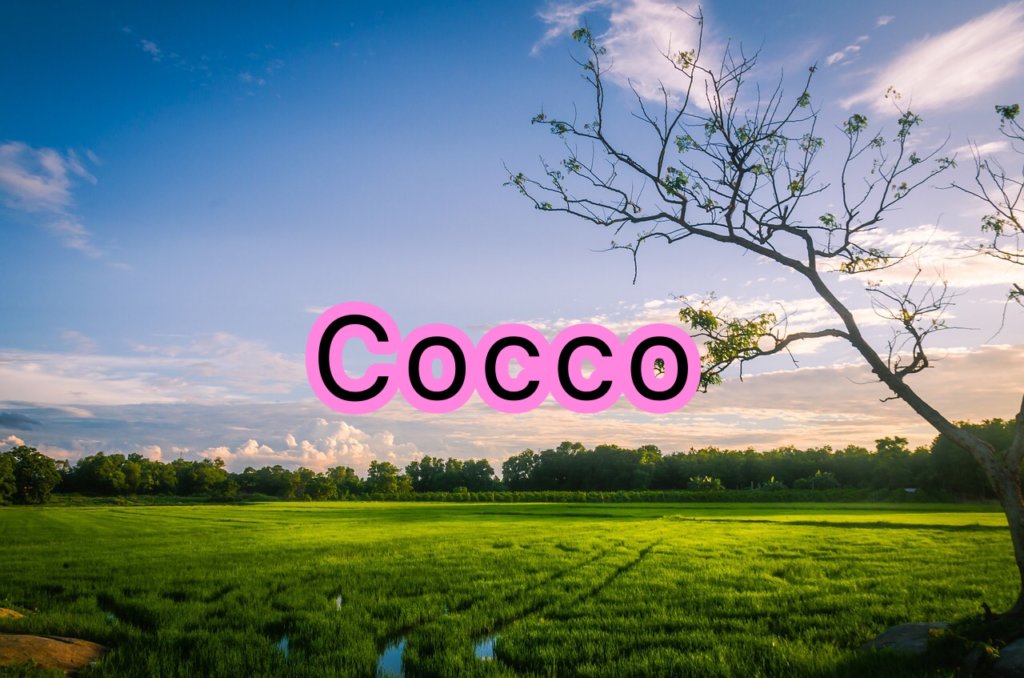 Coccoの声や歌い方についての分析