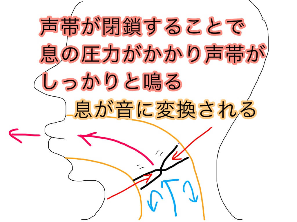 声量 が ない 原因