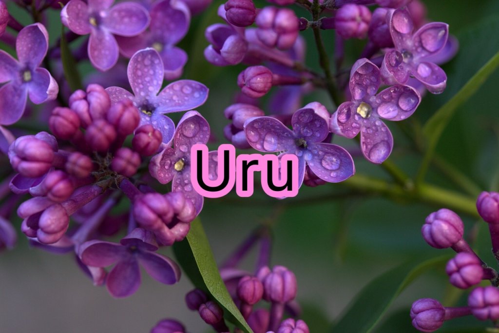 Uruの声や歌い方についての分析