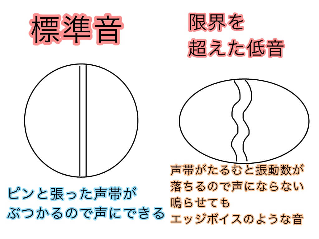 『音域を広げる方法』の徹底考察【声帯と息の重要性】 『音域を広げる方法』の徹底考察【声帯と息の重要性】