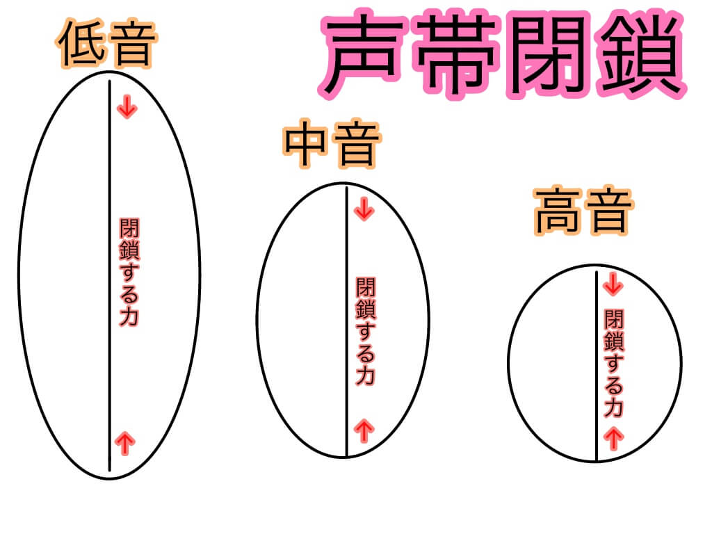 『音域を広げる方法』の徹底考察【声帯と息の重要性】 『音域を広げる方法』の徹底考察【声帯と息の重要性】