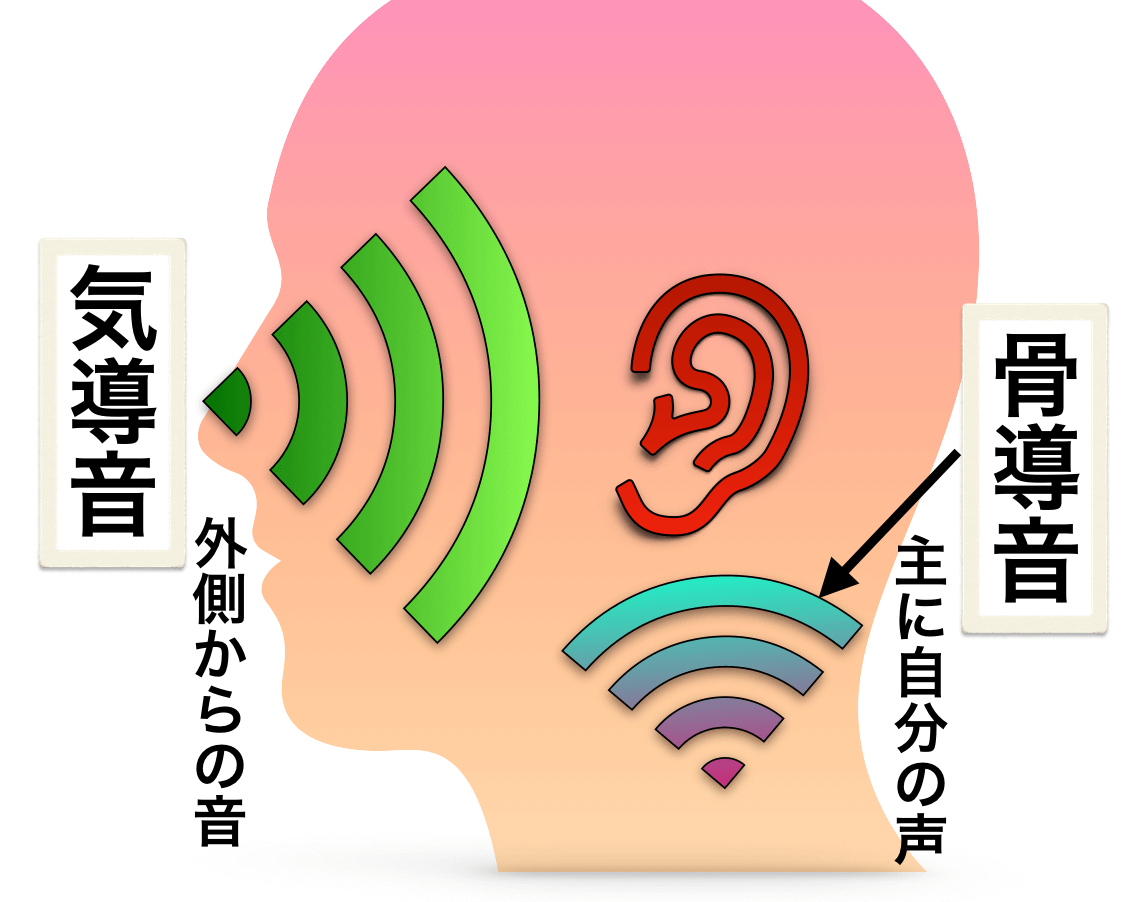 歌が上手い人は 自分の声の聞こえ方 の誤差が小さい