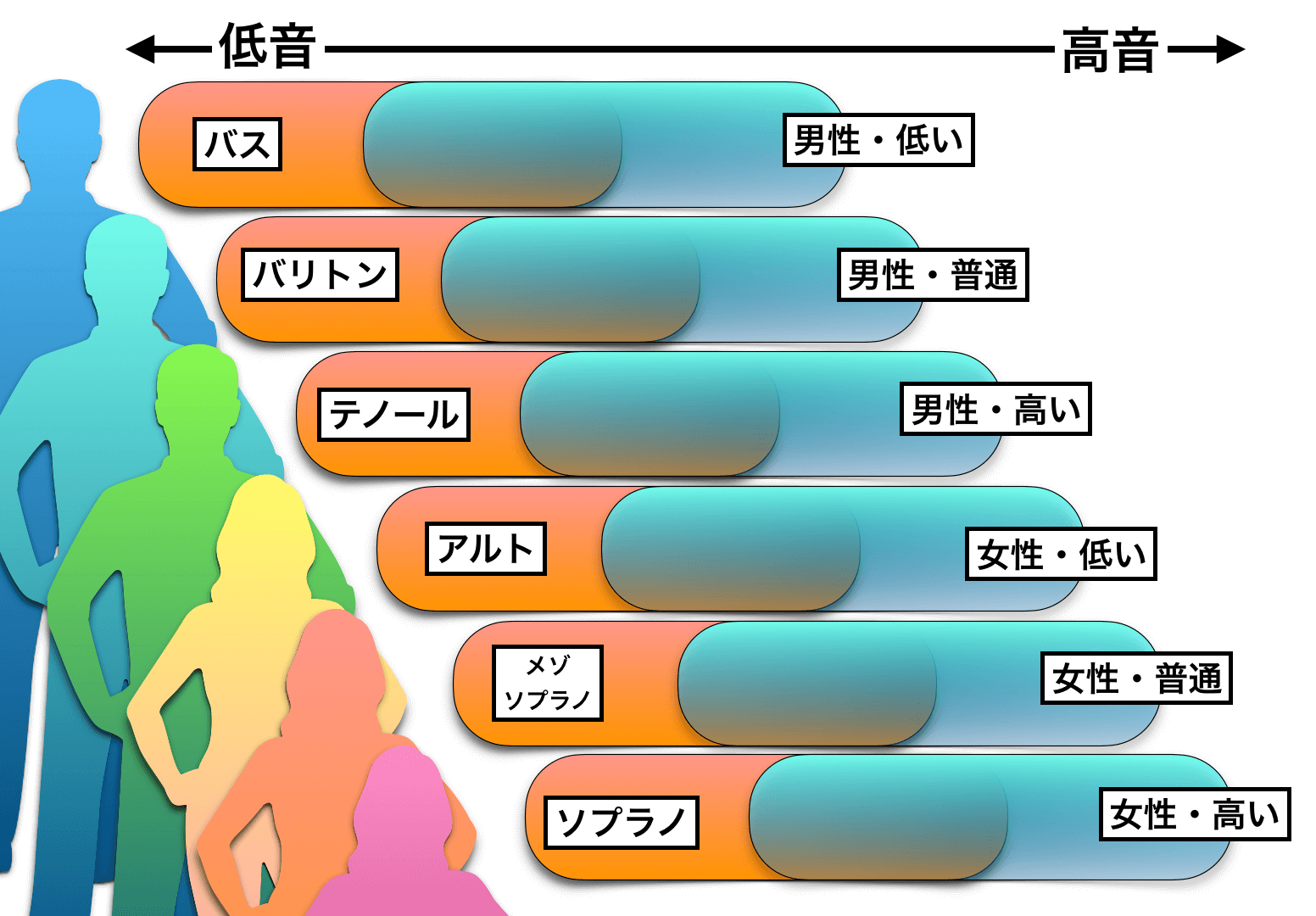 声帯のタイプ と 魅力的な音域 の関係性について