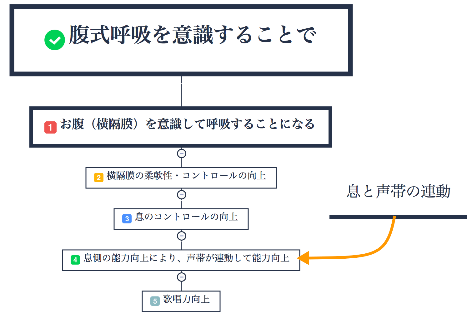 歌における 腹式呼吸 の必要性について