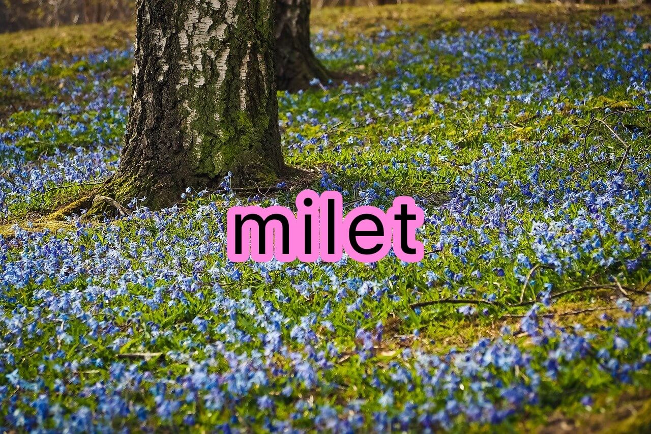 Miletの歌声や歌い方についての分析