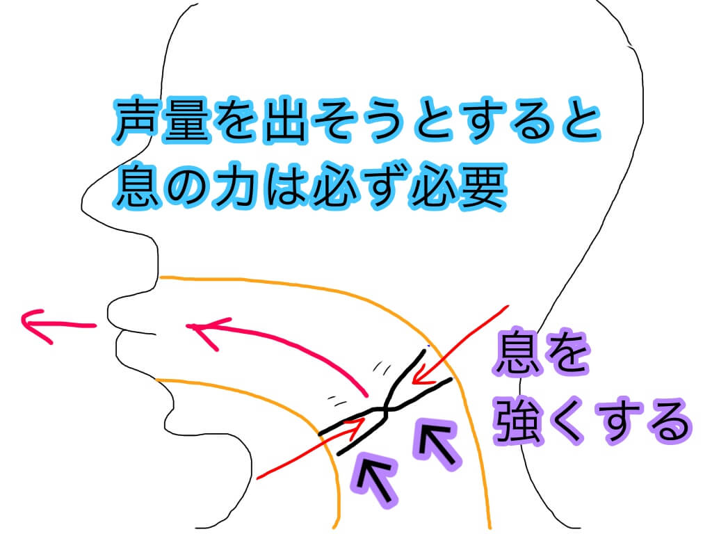 歌うとき喉に力が入る原因 ２つの状況 と ２つの状態 が考えられる