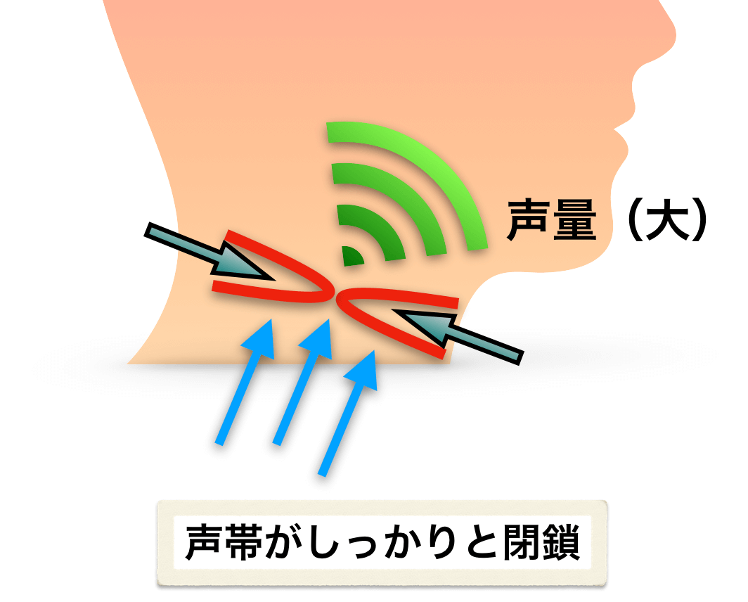 歌声がこもる原因と改善方法 ４つの理由 とそれに応じたトレーニング
