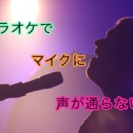 声の悩み 歌の悩み ミュートレグ