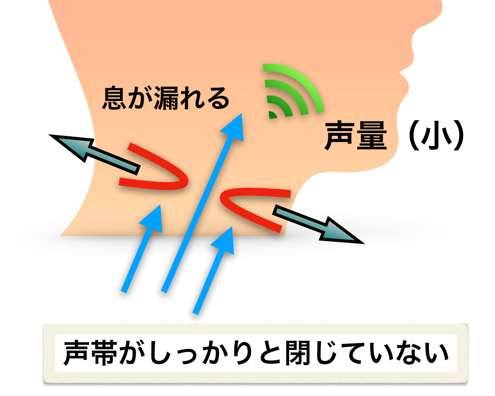 声帯がしっかりと閉じていないと声量は小さい