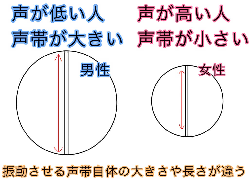 地声の高音域を広げる方法【結局、地道なトレーニングが一番いい】 地声の高音域を広げる方法【結局、地道なトレーニングが一番いい】