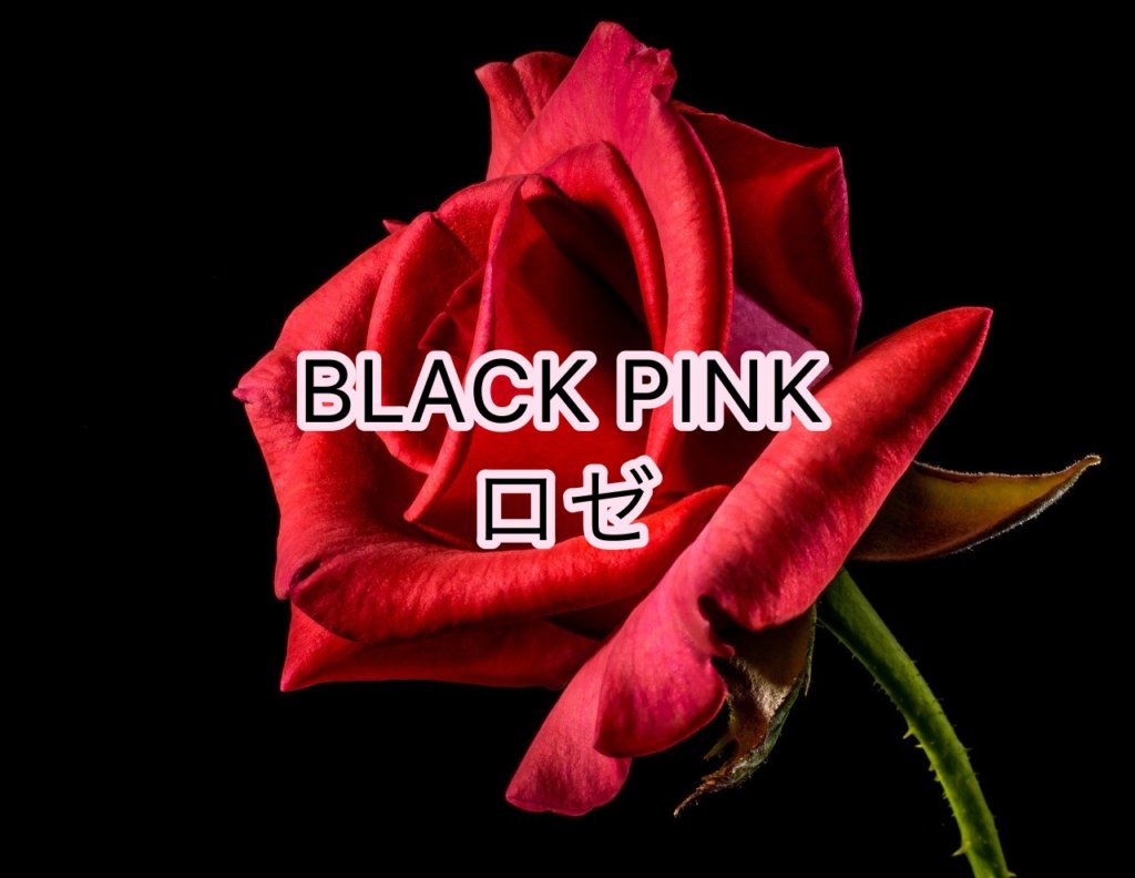 BLACK PINK ロゼの声や歌い方についての分析