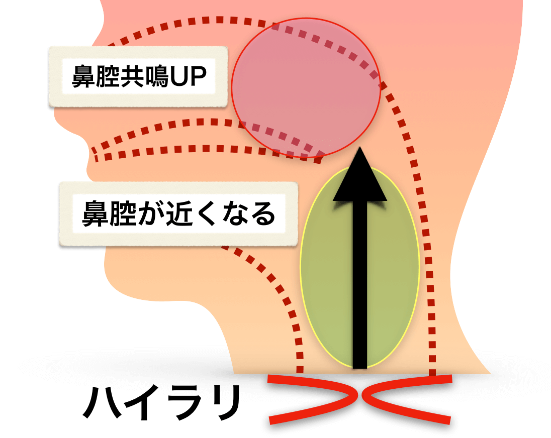 ハイラリは鼻腔共鳴が強くなる