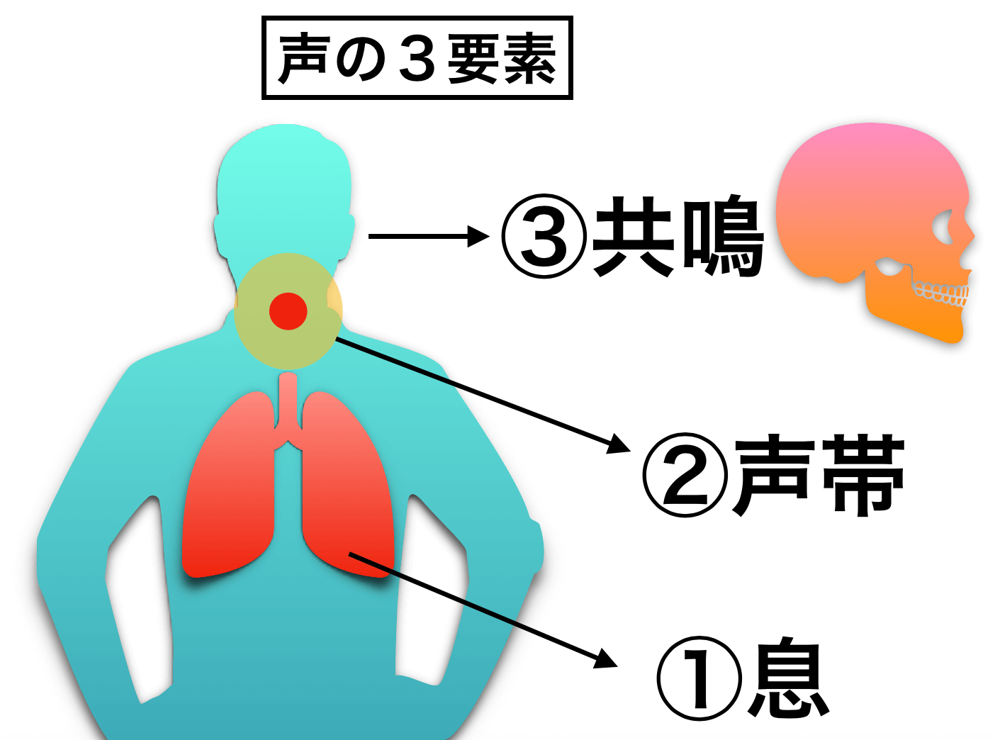 歌の 声量がない 小さい原因 について