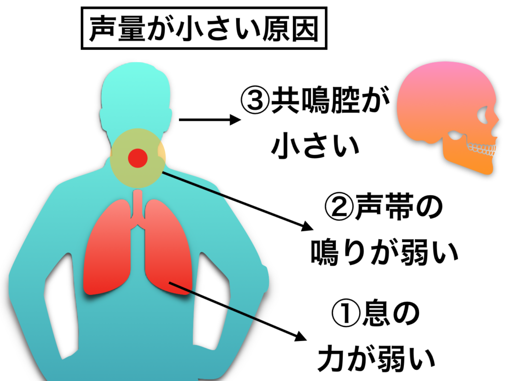 声量 が ない 原因