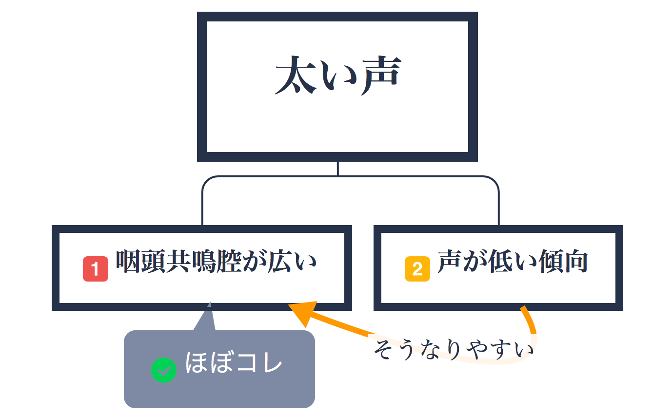 太い声の出し方についての研究