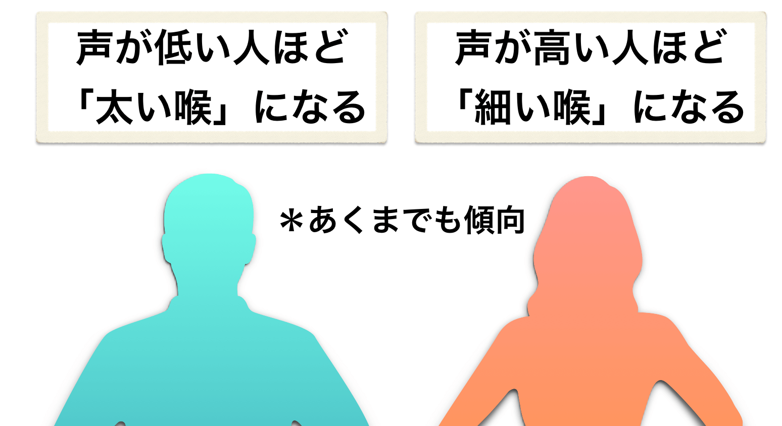 太い声の出し方について 声の太さは咽頭腔が作る