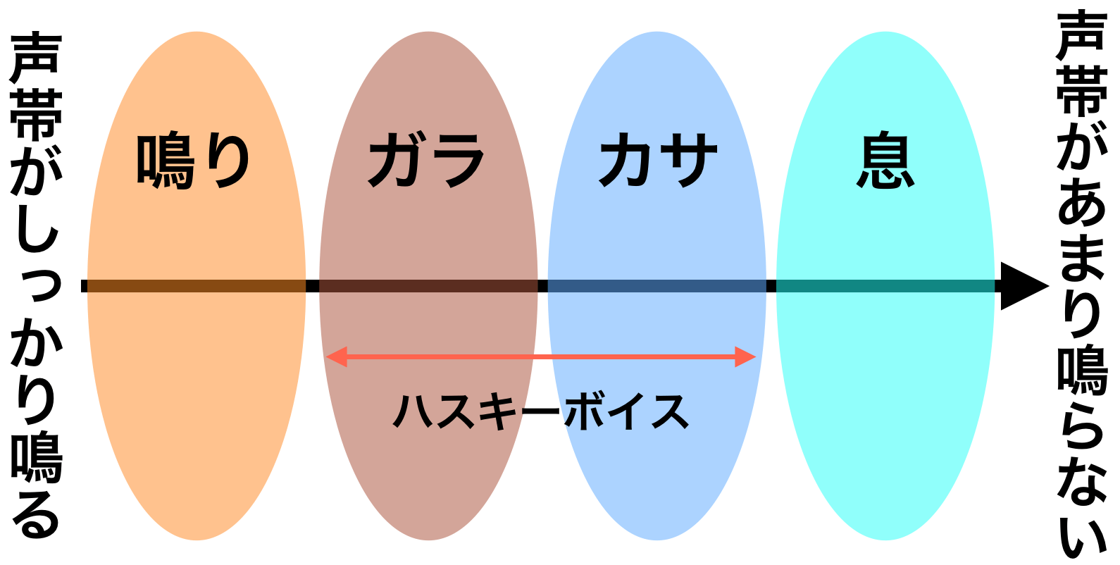 歌における声質のタイプについての研究