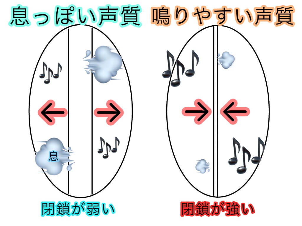 歌における声質のタイプについての研究