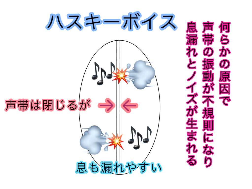 ハスキー ボイス と は