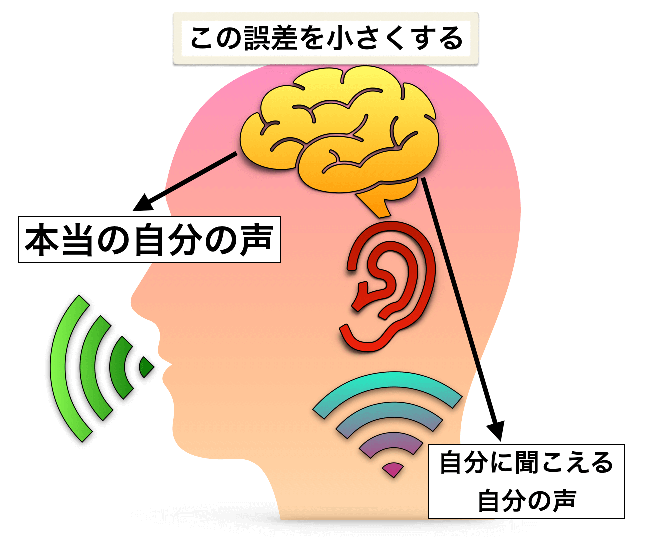 歌が上手くなる確率をアップさせる項目についての研究