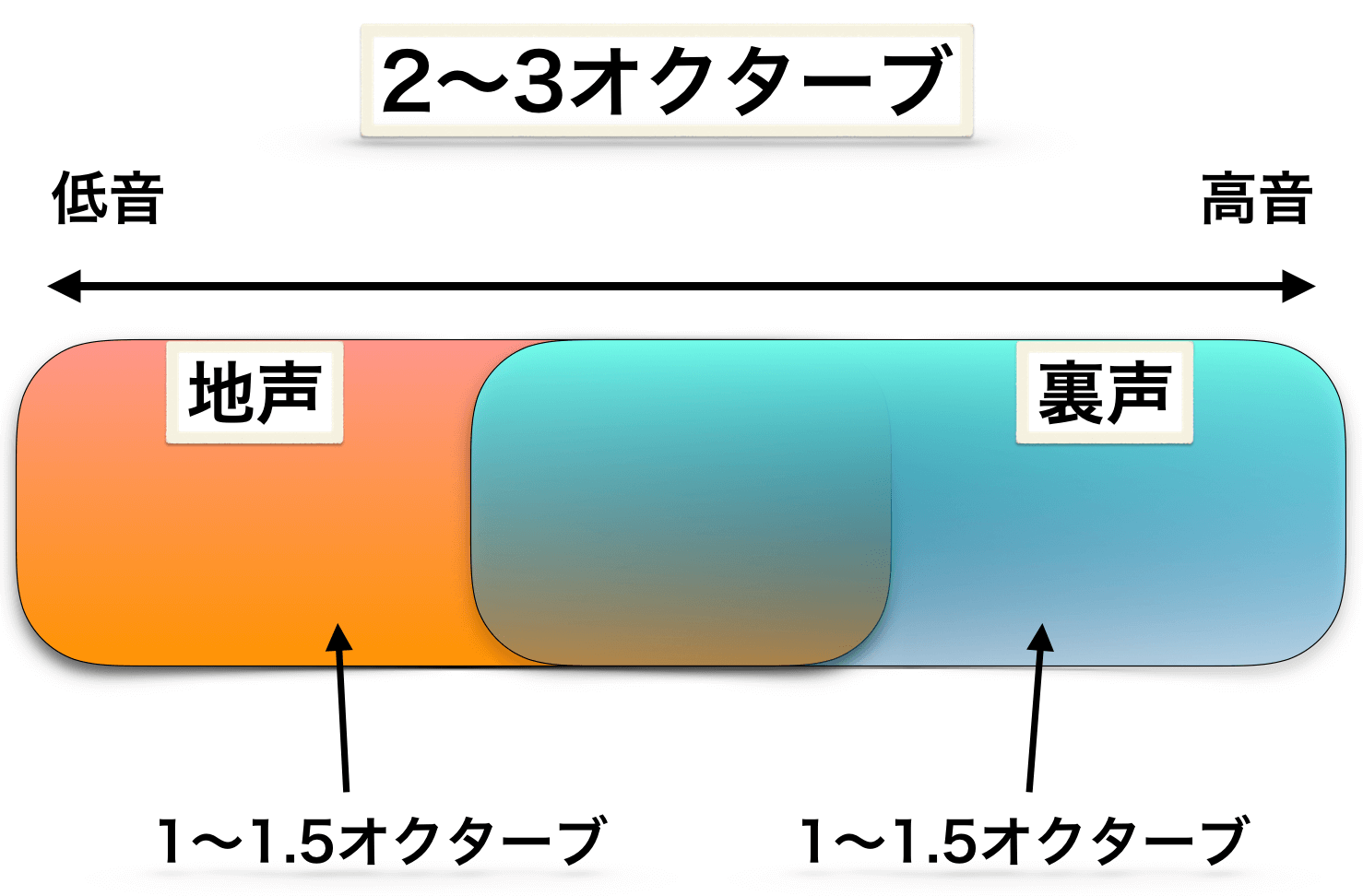 声帯のタイプ と 魅力的な音域 の関係性について