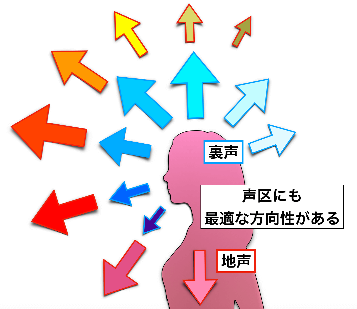 声帯のタイプ と 魅力的な音域 の関係性について 声帯のタイプ と 魅力的な音域 の関係性について