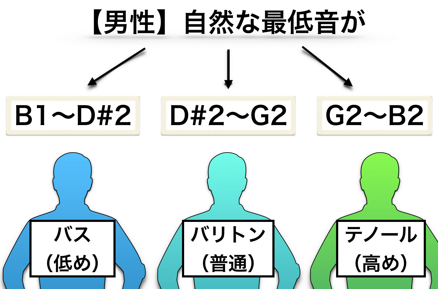 声帯のタイプ と 魅力的な音域 の関係性について 声帯のタイプ と 魅力的な音域 の関係性について