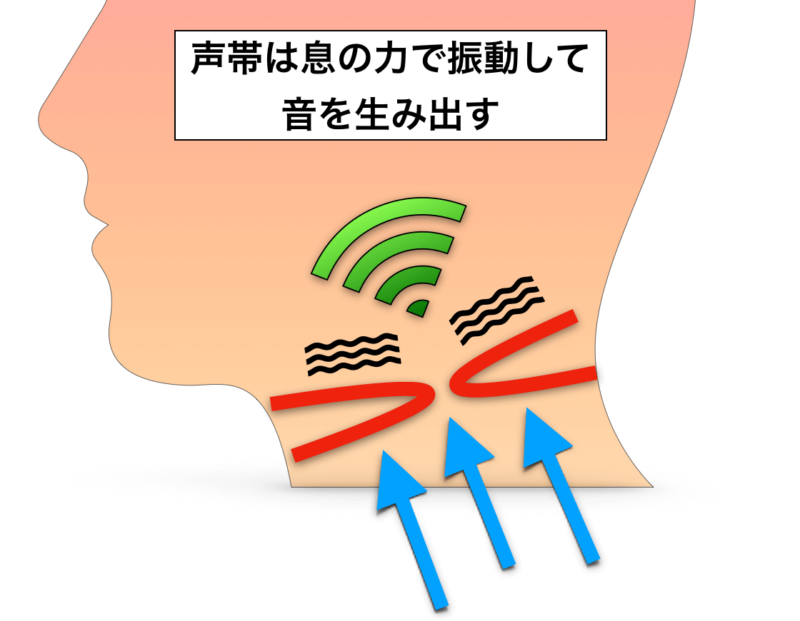 喉締め発声の原因と改善方法について