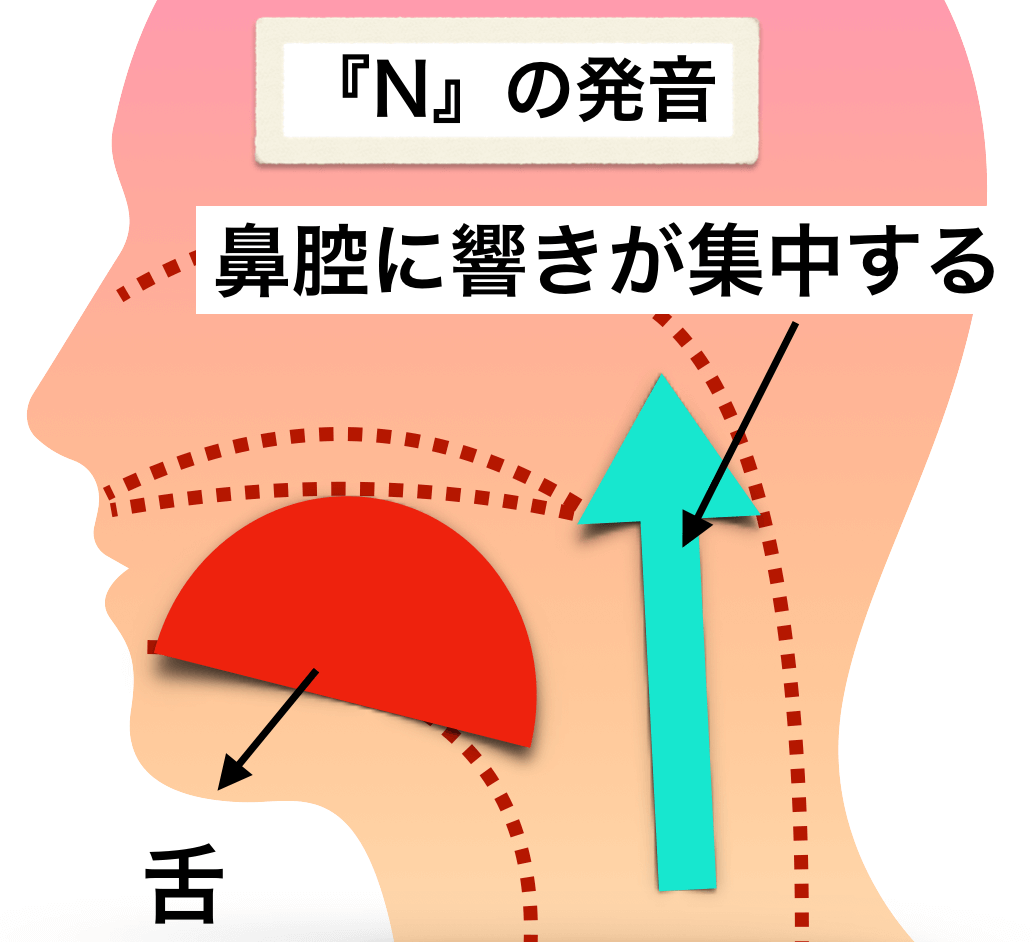 Nのハミングは響きが鼻腔に集中する