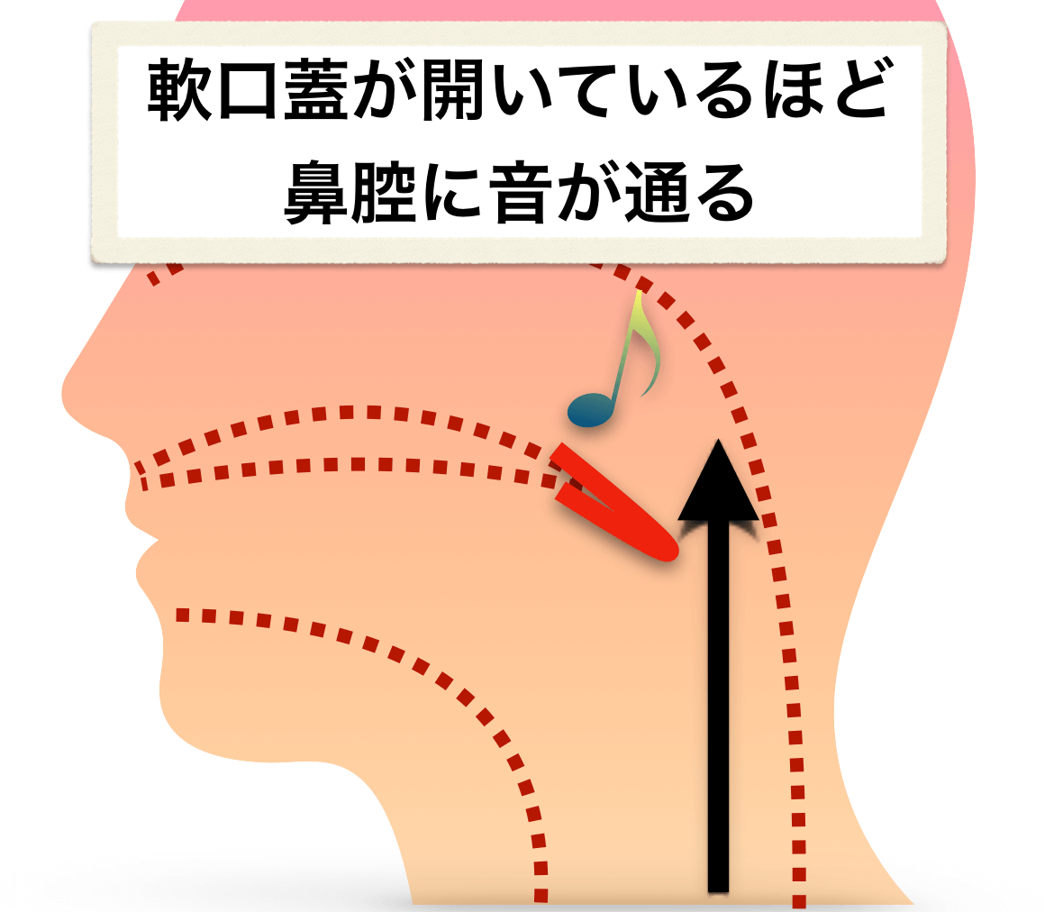 鼻声 に なる 方法