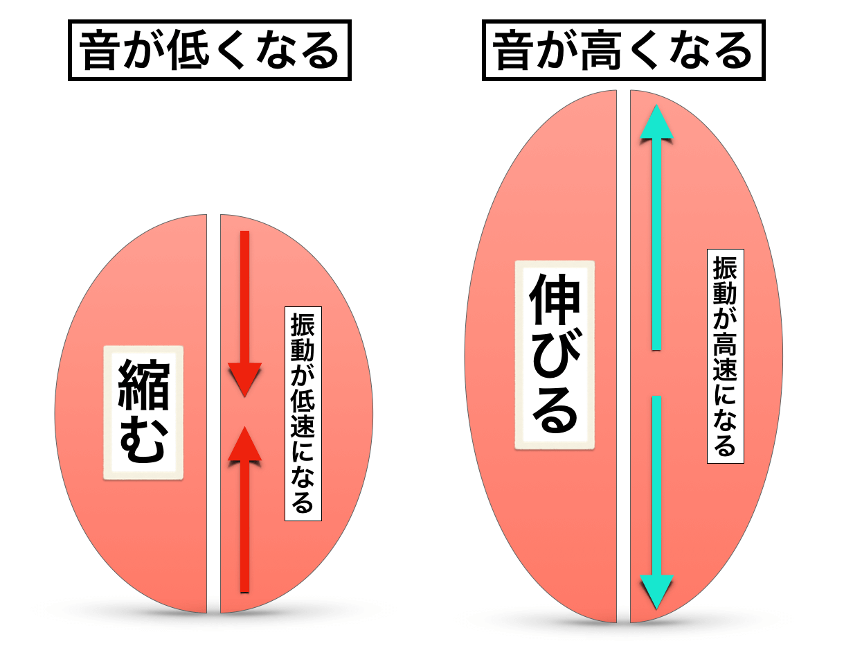 低い声の出し方について 低音発声の攻略