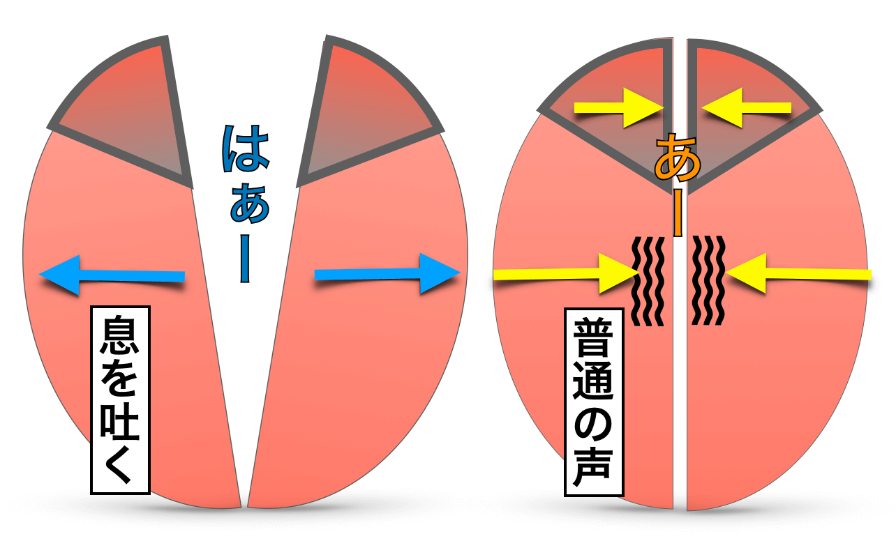 ウィスパー ボイス 地 声