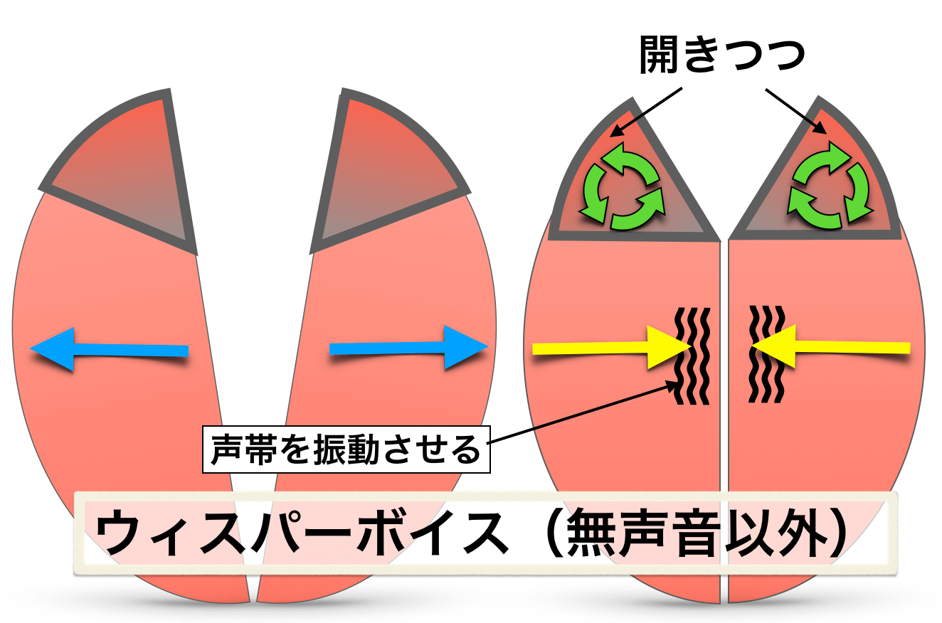 ウィスパー ボイス 意味